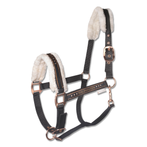 Waldhausen Grimer og Træktov