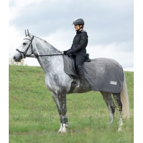 Waldhausen Insektartikler