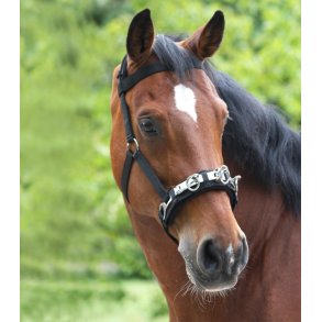 Waldhausen Longeringsudstyr og Jordarbejde