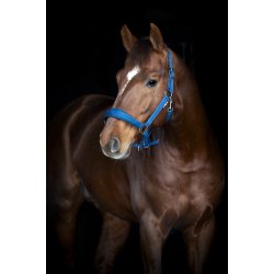 HorseGuard Diya 2.0 Grime - Majolica Blue