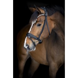 Catago Arlington Trense - Sort