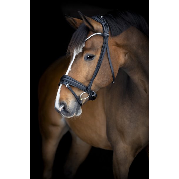 Catago Arlington Trense - Sort