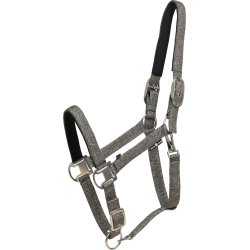 Horse Guard Jacksonville grime - S�lv