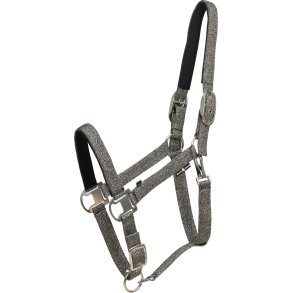 Horse Guard Jacksonville grime - S�lv