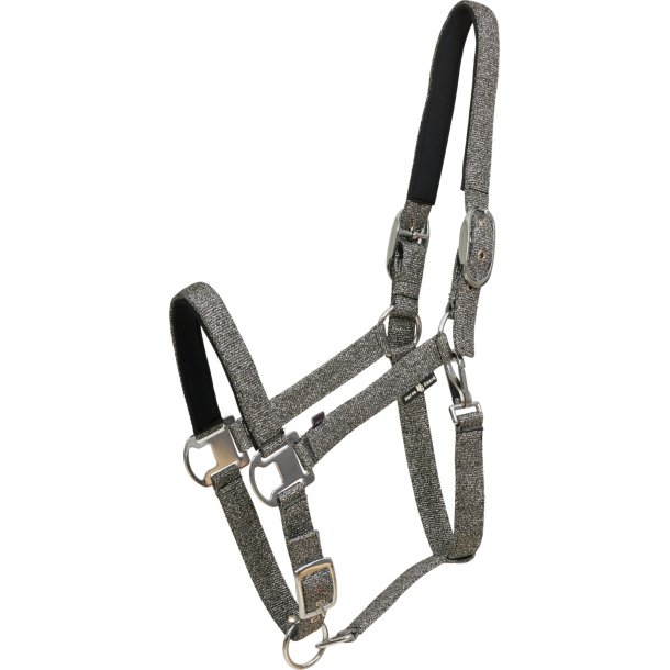 Horse Guard Jacksonville grime - S�lv