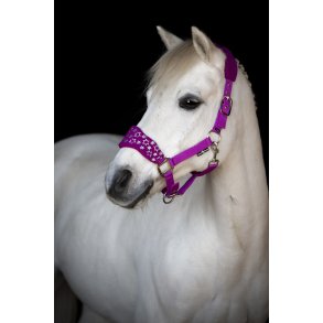 Horse Guard Atlantic Grime - Radiant Orchid