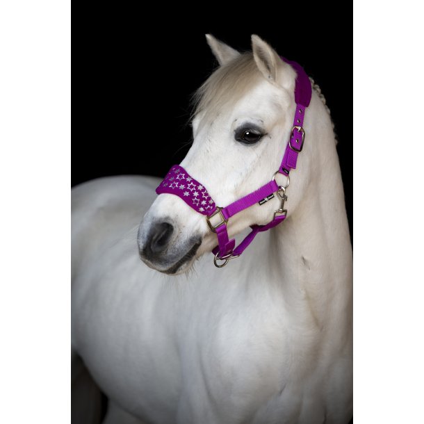 Horse Guard Atlantic Grime - Radiant Orchid