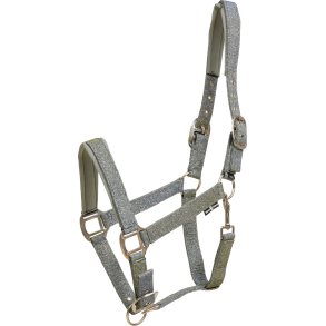 Horse Guard Iowa Grime - S�lv