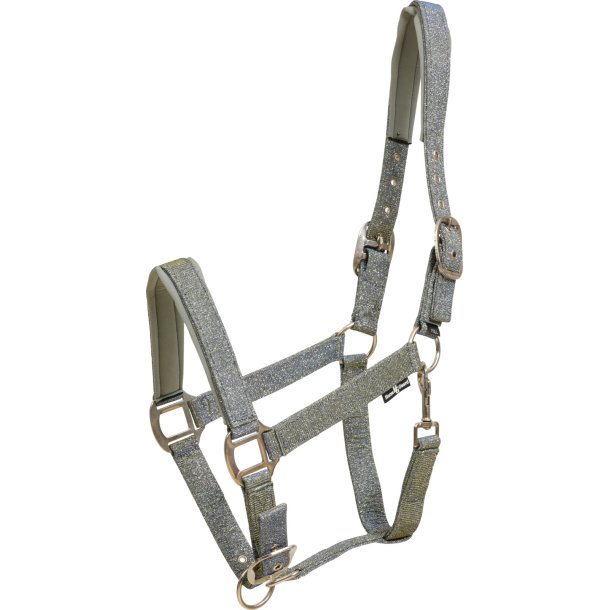Horse Guard Iowa Grime - S�lv
