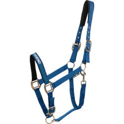 Horse Guard Malva Grime - Majolica Blue