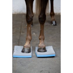 Horse Guard Balance-pads, 2-pak - Gr�