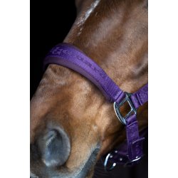 HorseGuard Diya 2.0 grime - Purple Pennant