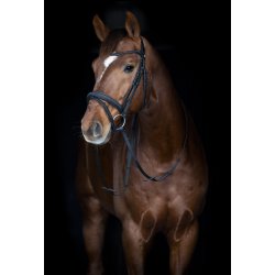 Horse Guard Emi 26.2-trense - Sort