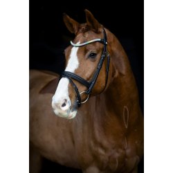 Horse Guard Rainbow Pandeb�nd - Rainbow