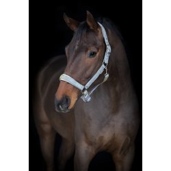 Horse Guard Iowa Grime - S�lv