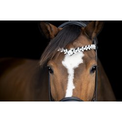 Catago Abilene Pandeb�nd - Sort