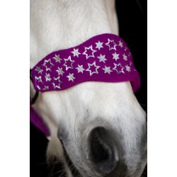 Horse Guard Atlantic Grime - Radiant Orchid