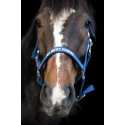 Horse Guard Malva Grime - Majolica Blue