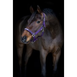 Malva Grime - Purple Pennant