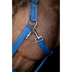HorseGuard Diya 2.0 Grime - Majolica Blue