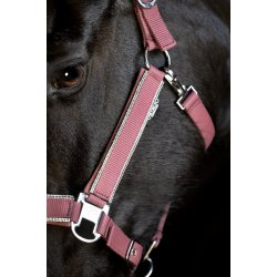 Catago Pearland Grime - Maroon