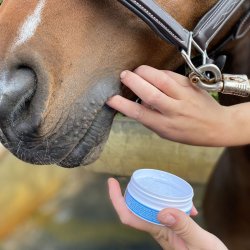 BACXITIUM . Desinficerende og helende srsalve. 50mL