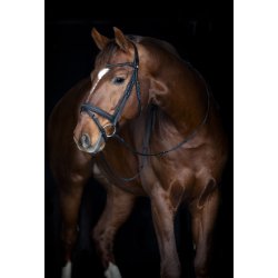 Horse Guard Emi 26.2-trense - Sort