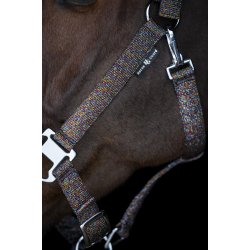 Horse Guard Jacksonville grime - Multi