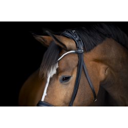 Catago Arlington Trense - Sort