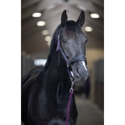 HorseGuard Fonda Snoet Tr�ktov - Purple Pennant
