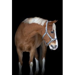 Horse Guard Jacksonville grime - S�lv