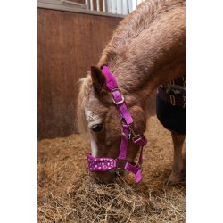 Horse Guard Atlantic Grime - Radiant Orchid