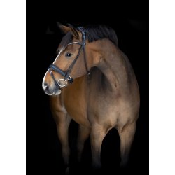 Catago Midlan Trense - Sort