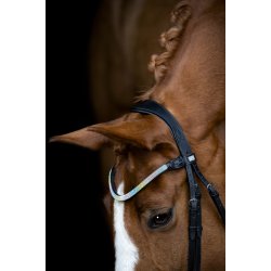 Horse Guard Rainbow Pandeb�nd - Rainbow