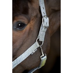 Horse Guard Iowa Grime - S�lv