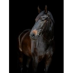 GENTLE BRIDLE Bagerste kberem, m/ spnder. (H)