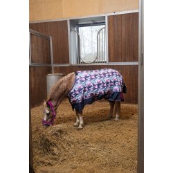 Horse Guard Atlantic Grime - Radiant Orchid