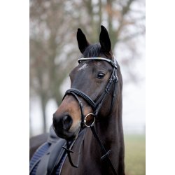 Horse Guard Rainbow Pandeb�nd - Rainbow