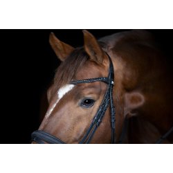 Horse Guard Emi 26.2-trense - Sort