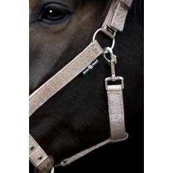 Horse Guard Iowa Grime - Guld