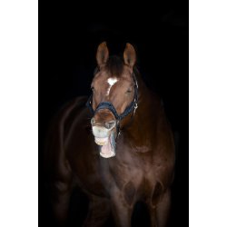 Horse Guard Angel-glimmergrime - Sort