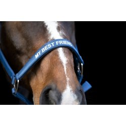 Horse Guard Malva Grime - Majolica Blue