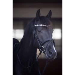 Horse Guard Sunnywale Pandeb�nd - Sort