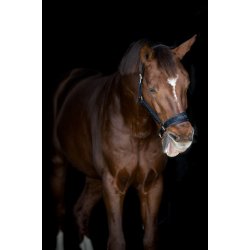 Horse Guard Angel-glimmergrime - Sort