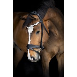 Catago Arlington Trense - Sort