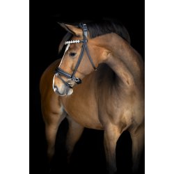 Catago Abilene Pandeb�nd - Sort
