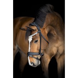 Catago Abilene Pandeb�nd - Sort