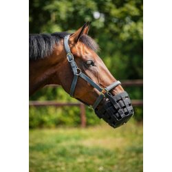 HORSEGUARD Mundkurv til at s�tte p� grime.