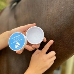 BACXITIUM . Desinficerende og helende srsalve. 50mL