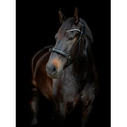 GENTLE BRIDLE Kapsun. 